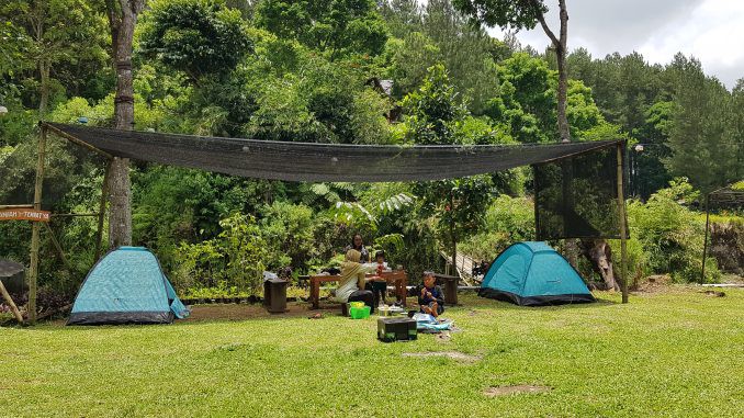 Tempat Piknik di Banyuwangi yang paling Rekomended